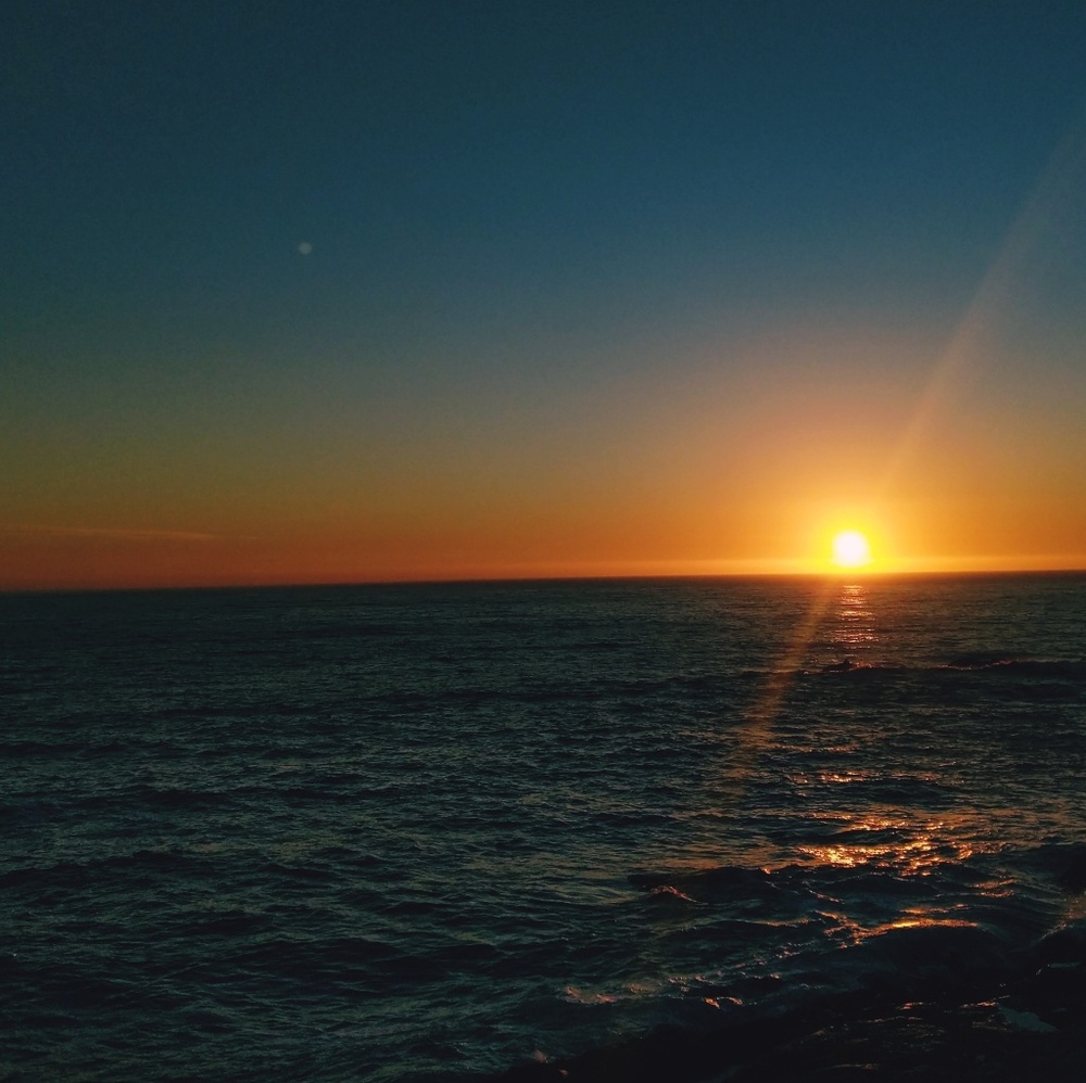 Meet your Posher, Claudia